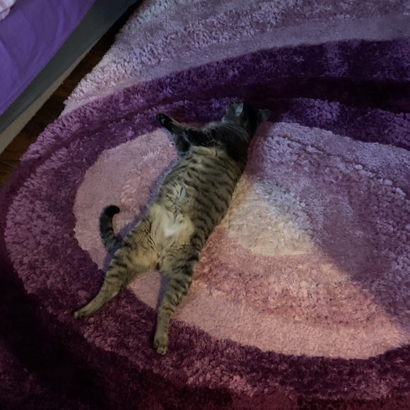 Meet your Posher, Barbara - Picture 13 of 16